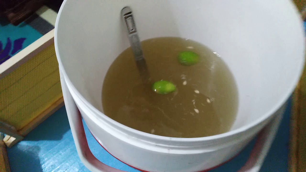 أنسب محلول سكري للنحل في فصل الربيع؟ يحفز الملكة ويقوي النحل