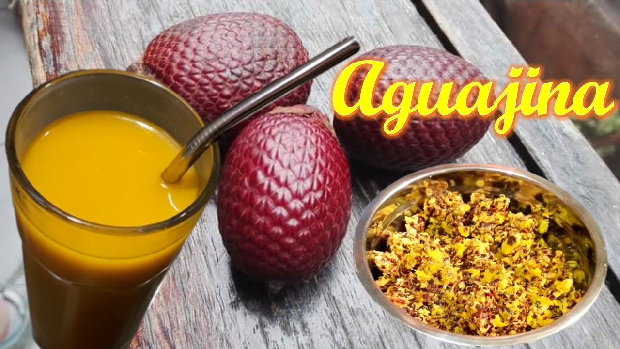 AGUAJINA - Cómo preparar masa de aguajina - Preparación completa, desde 0 - Cómo hacer aguajina