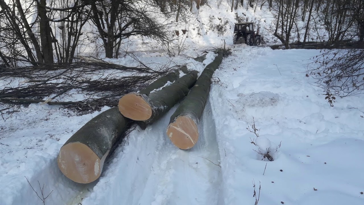 Práca v lese Zetor 6945 navijak zil