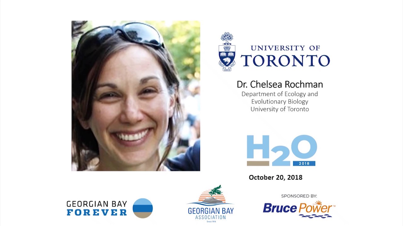Microplastics and Microfibres. Plastic pollution and aquatic ecosystems. Dr  Chelsea Rochman