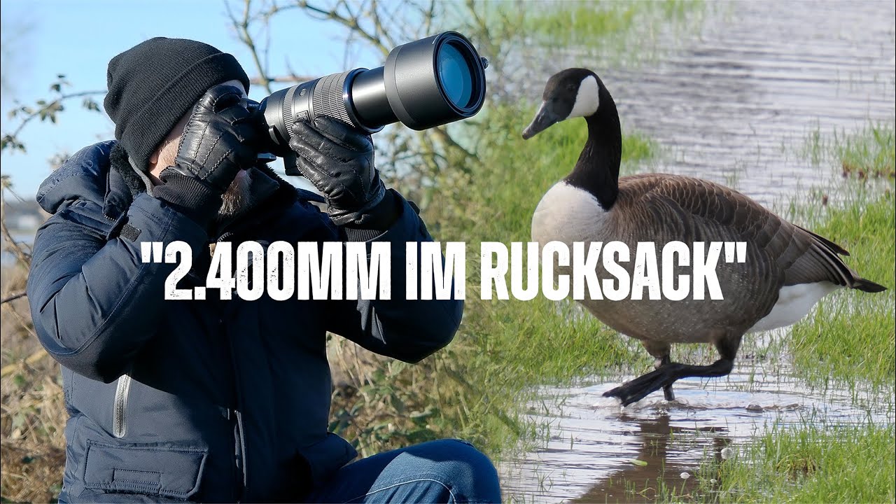 M.Zuiko 150-600mm – Die umstrittene MFT-Linse im Test!