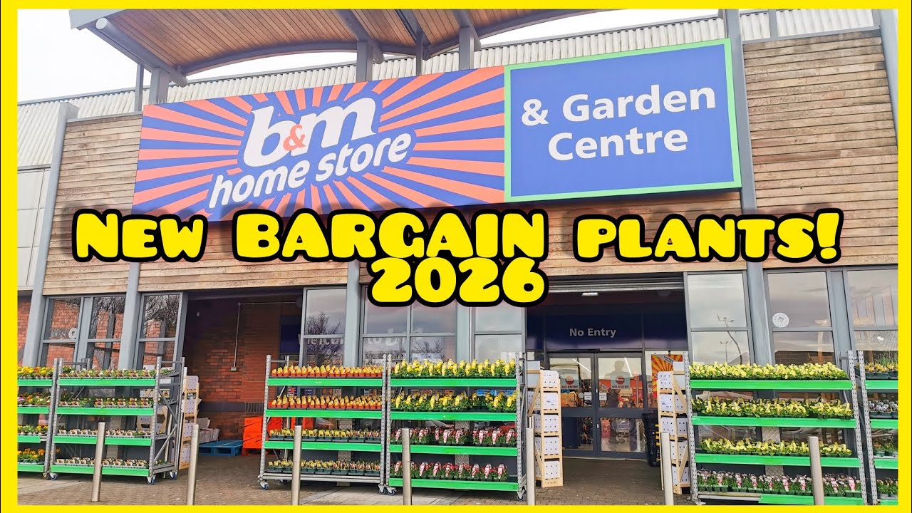 NEW BARGAIN Plants in B&M Garden Centre!? 🤔 Jan 2026 | Tropical Gardening UK 