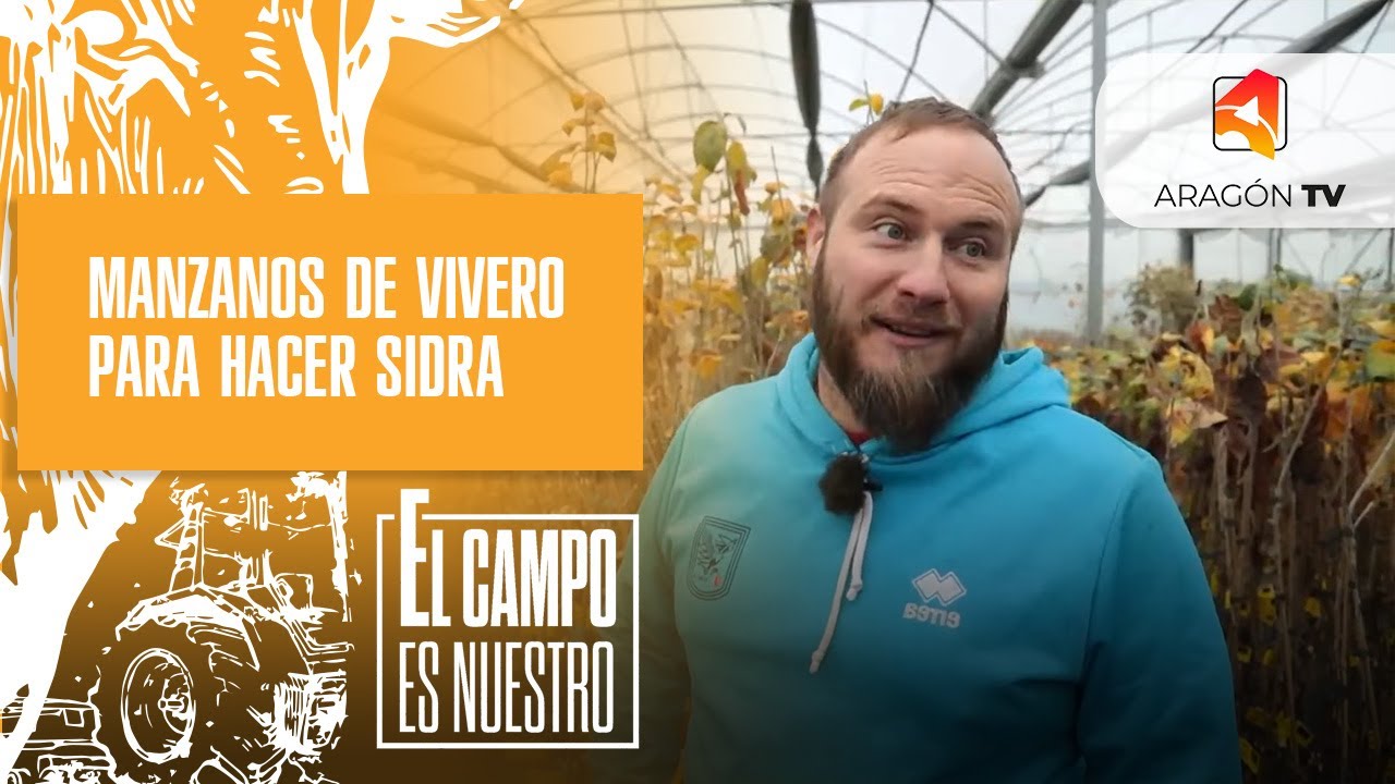 Manzanos de vivero para hacer sidra
