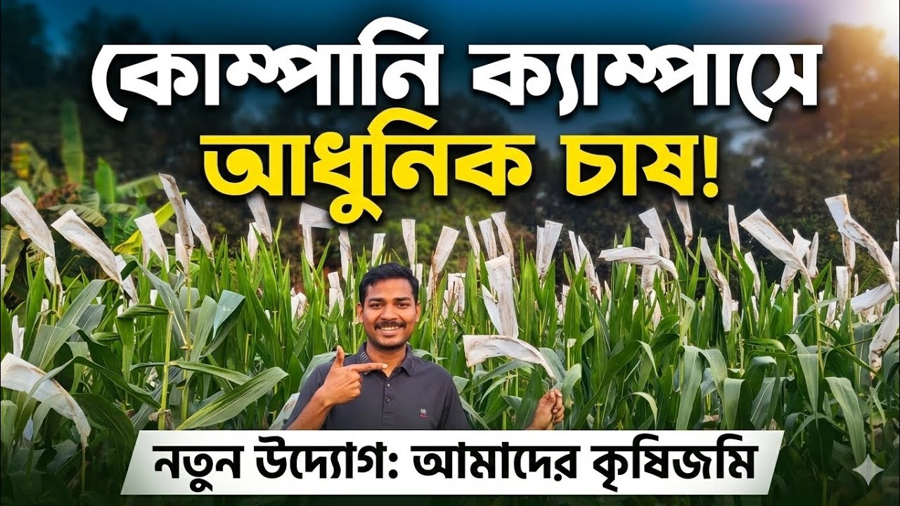 আমাদের কোম্পানির ক্যাম্পাসে চাষবাস || Andhra Pradesh farming