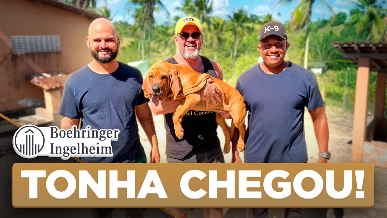 FILA BRASILEIRO: O que me fez mudar de ideia sobre a ra&ccedil;a? | Cinofilia Digital