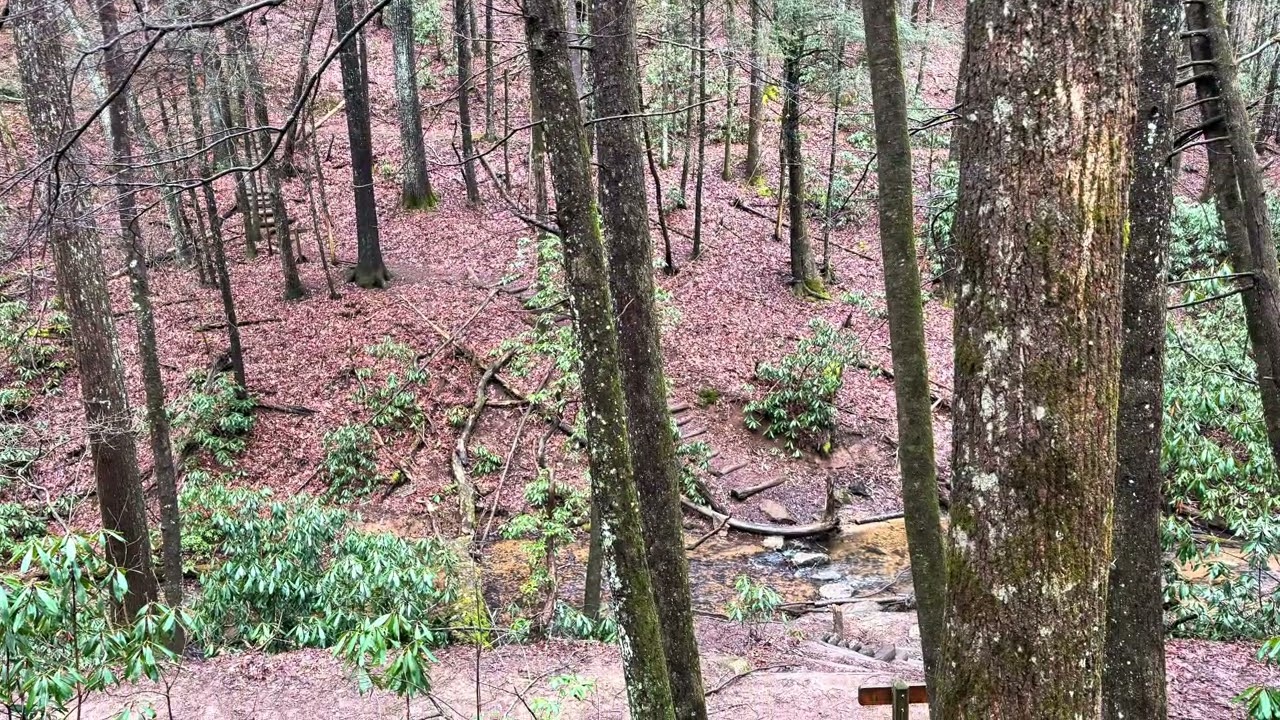 Day4 Slack Packing From Cooper Gap To Gooch Gap