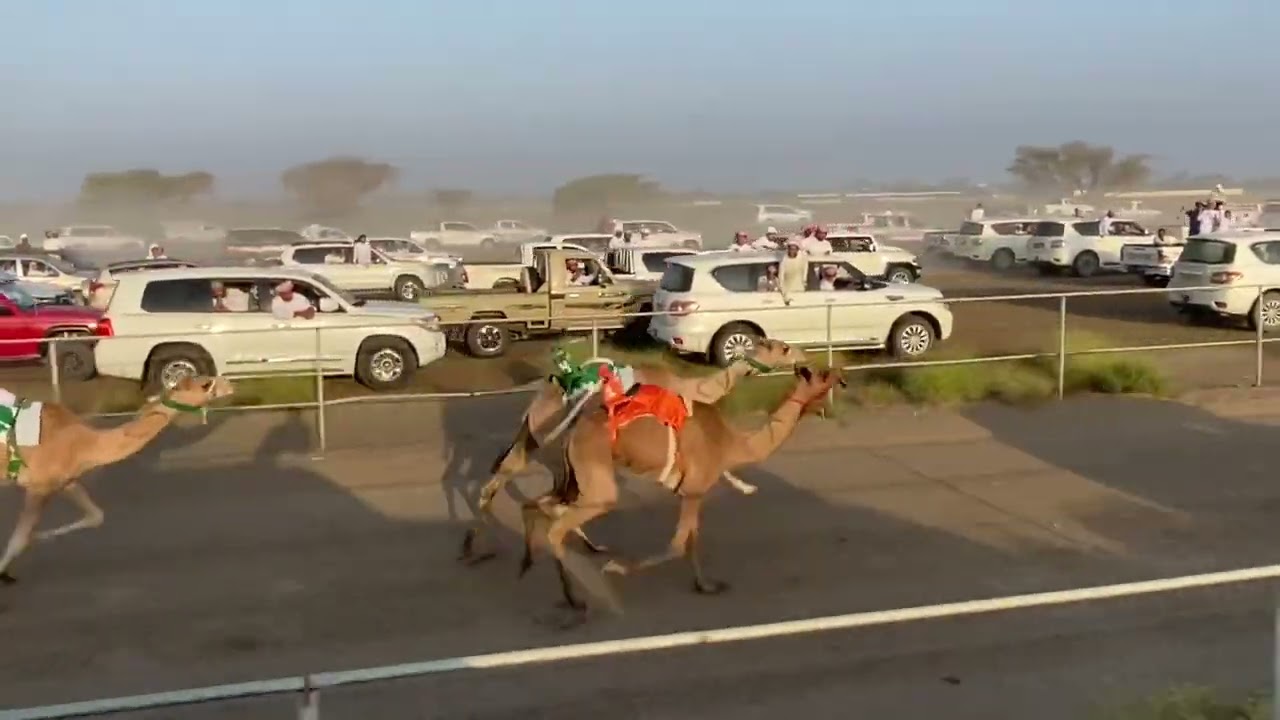 مهرجان الشبل 7/10/2022 شوط 1