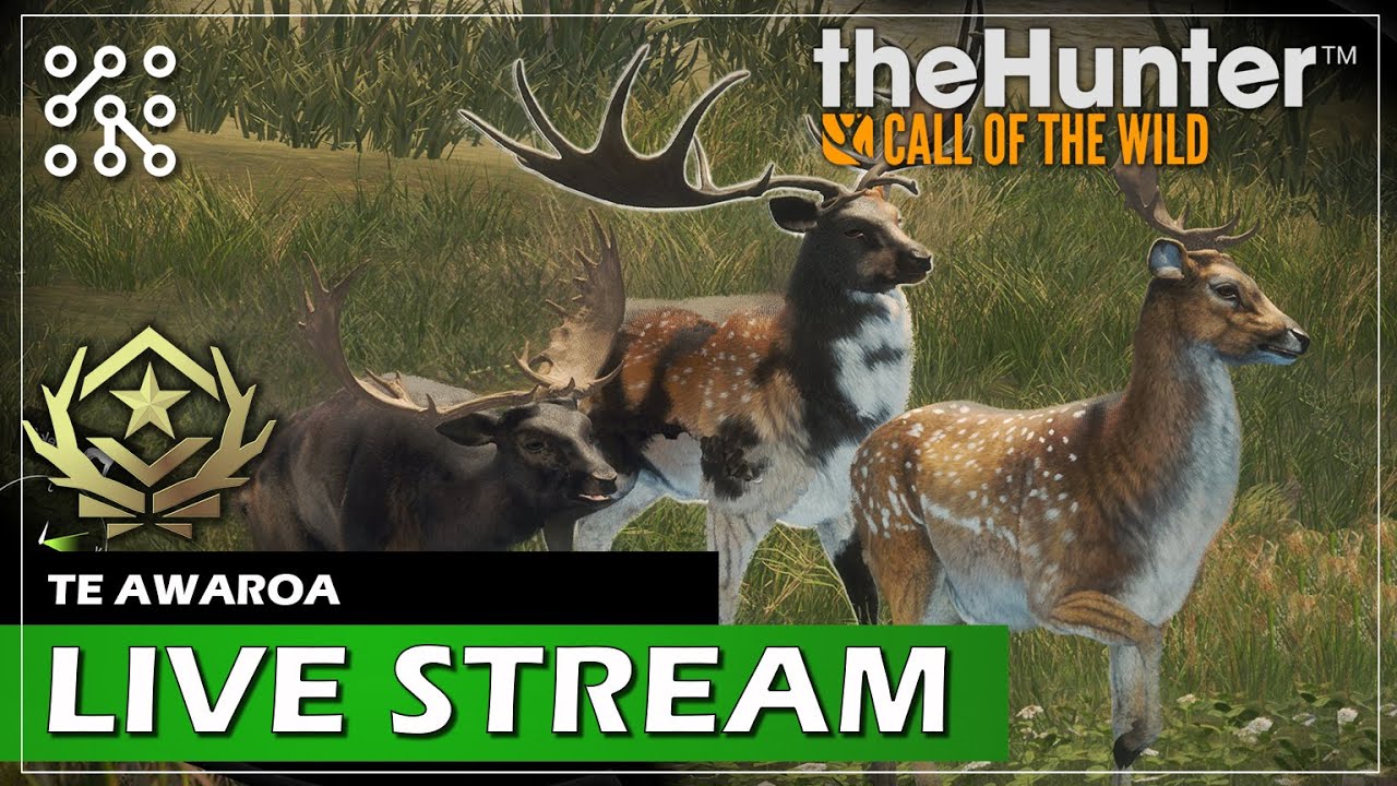 Lov GO daňka - třetí GO | The Hunter: Call of the wild CZ  | Lets play | Česky