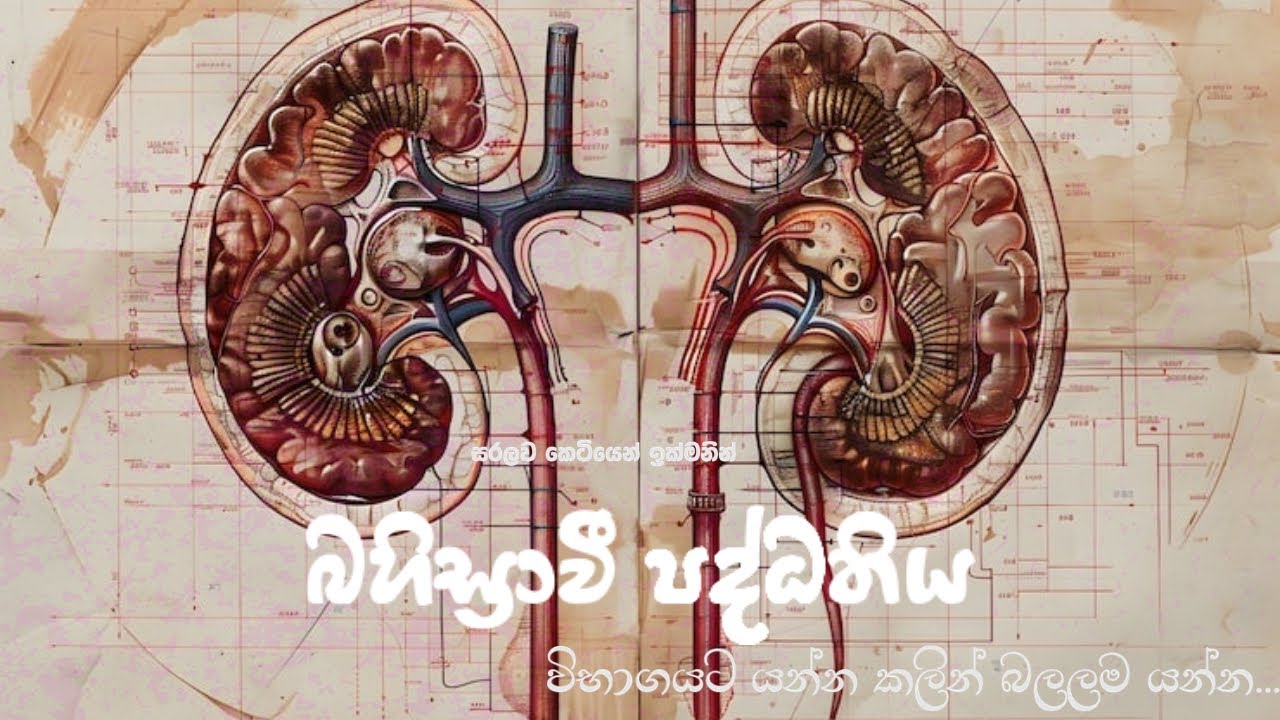බහිස්‍රාවී පද්ධතිය කෙටියෙන් සරලව...☝️