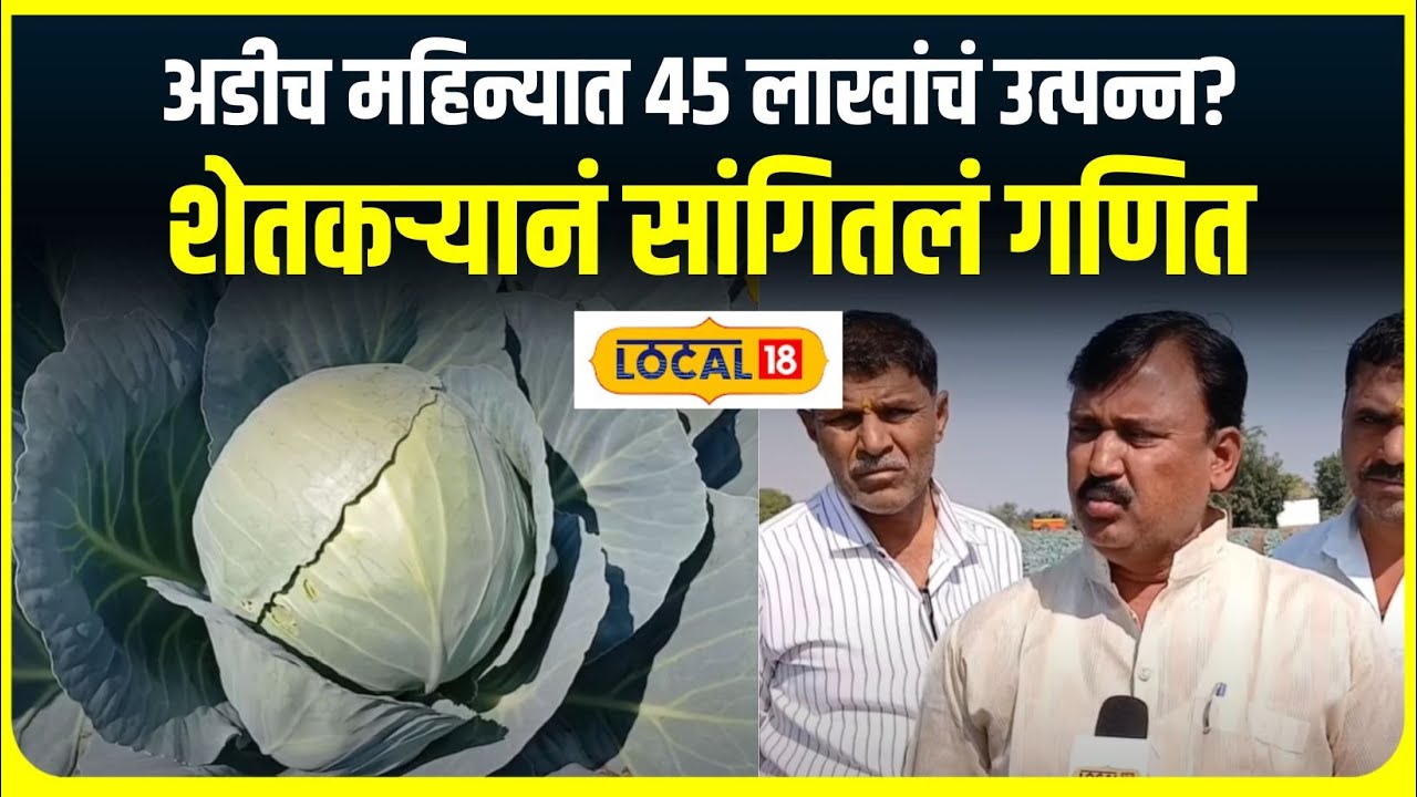 Solapur Farmer : अडीच महिन्यात 45 लाखांचं उत्पन्न? सोलापूरच्या शेतकऱ्यानं सांगितलं गणित