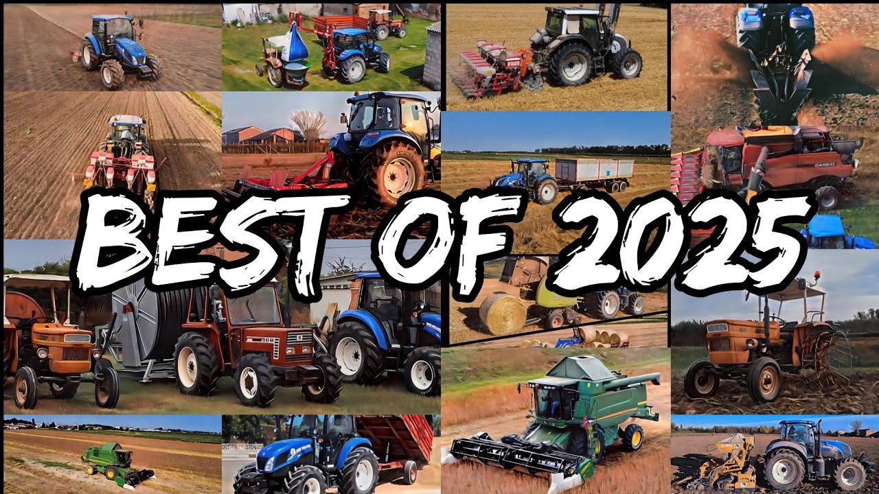 Best of 2025