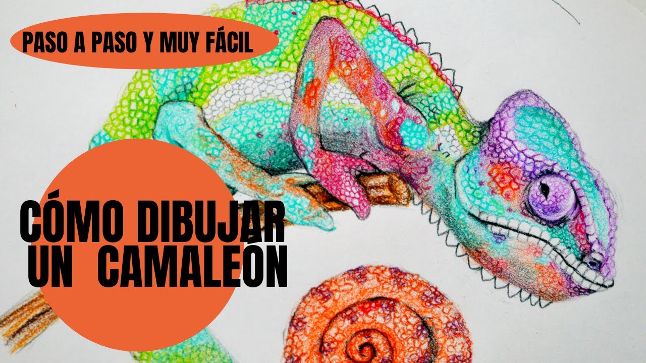 Cómo Dibujar Un Camaleón Paso a Paso