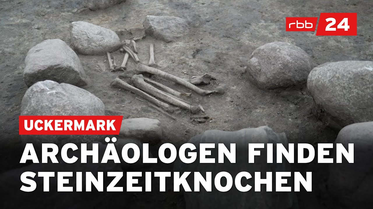 Steinzeitfund: Archäologische Entdeckung in der Uckermark