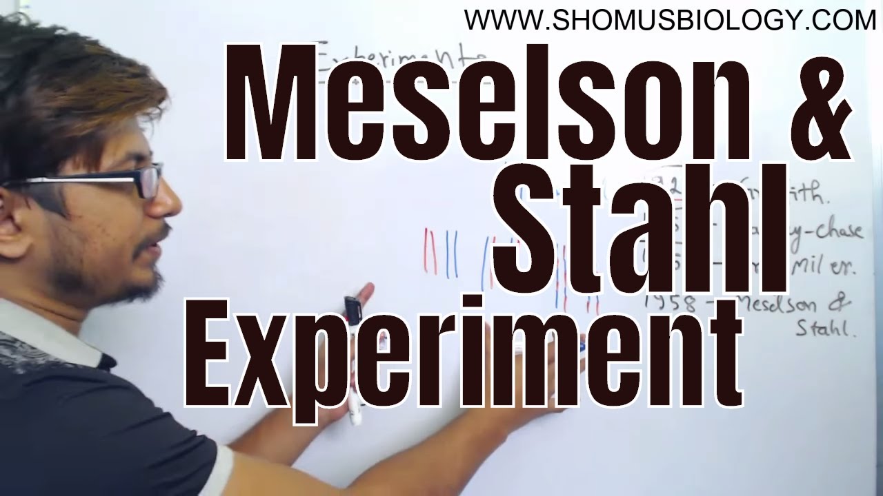 Meselson and Stahl experiment