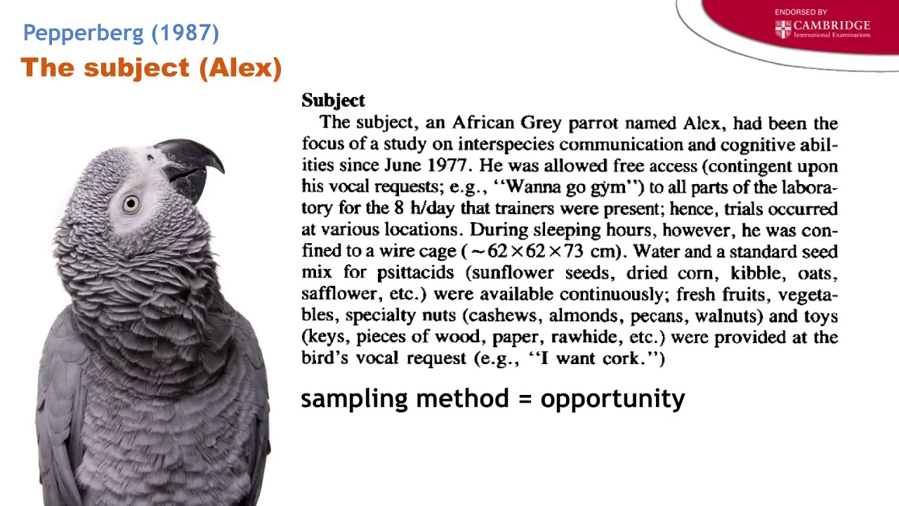 Pepperberg (1987) on  parrot learning