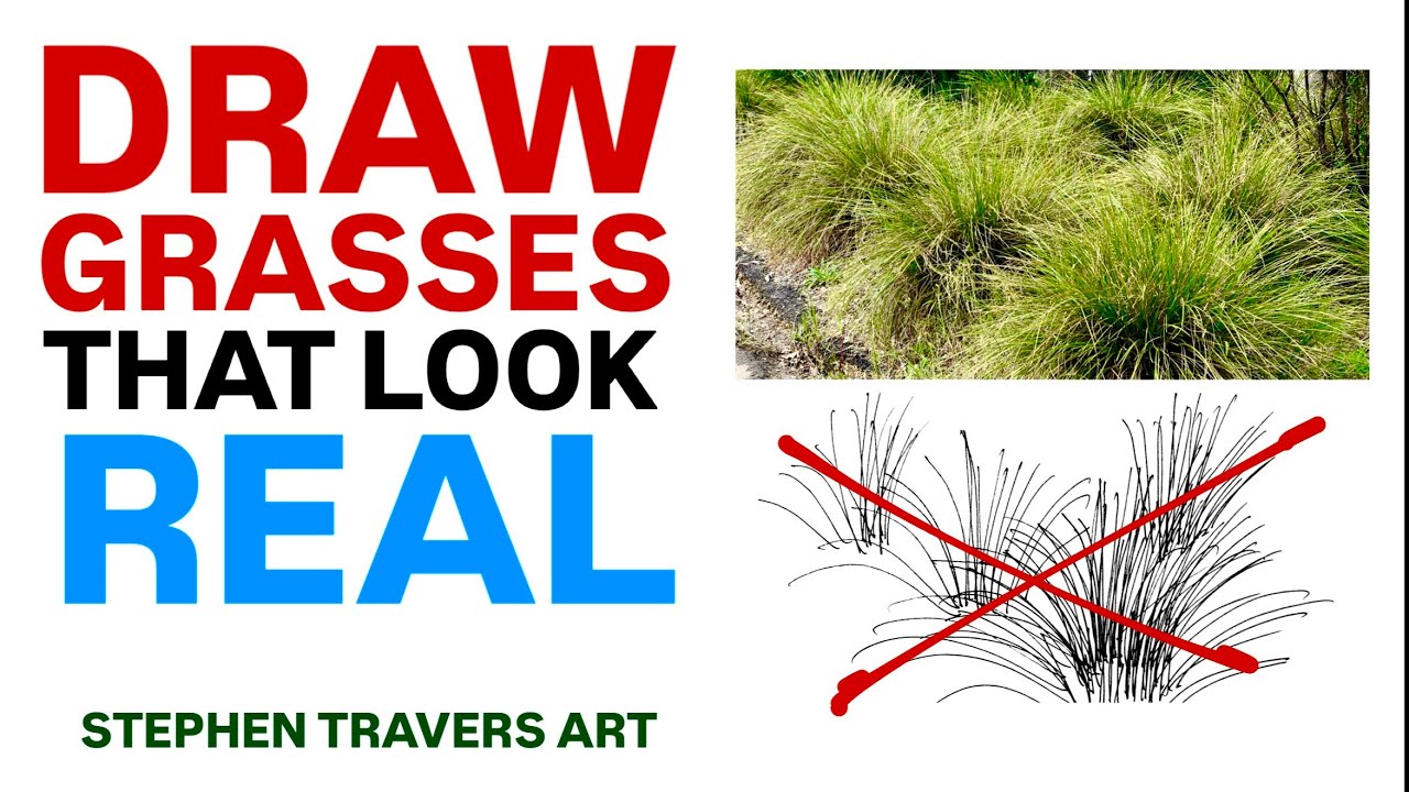 The Secret to Drawing Grasses That Look Real