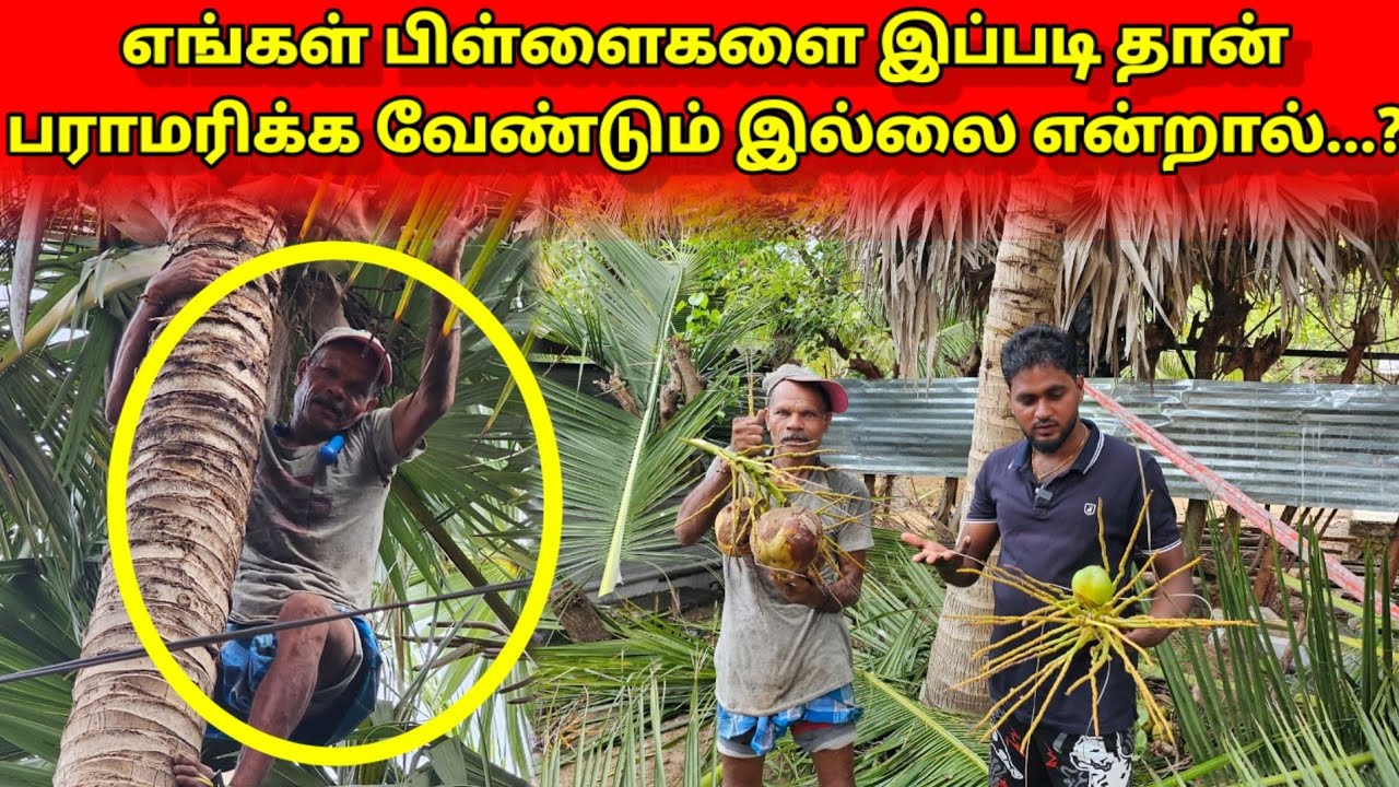 பிள்ளைகளை இப்படி தான் பராமரிக்க வேண்டும் | Mr Suman