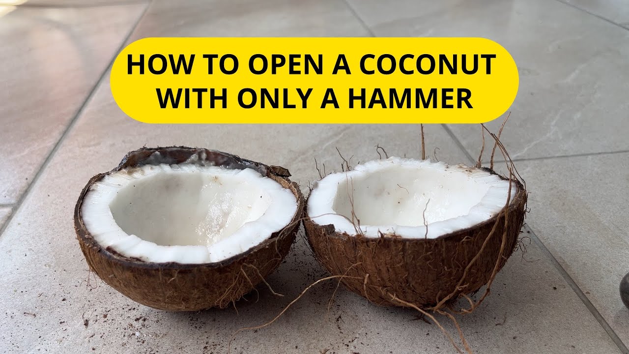 How to open a coconut with a hammer