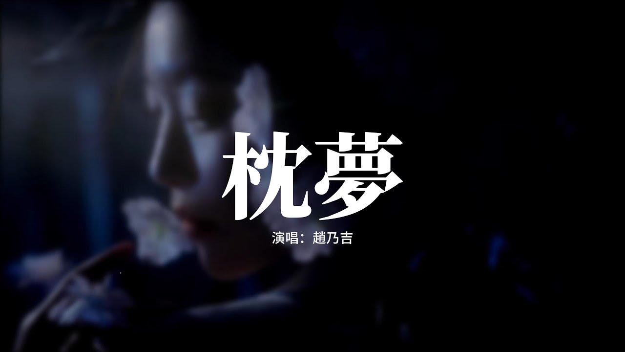 趙乃吉 - 枕夢『我挑燈幾易畫稿故紙堆全是你容貌，初遇錯身廊橋你眼眸含笑，我頻頻回頭亂了心潮，時隔經年心念不消。』【動態歌詞MV】