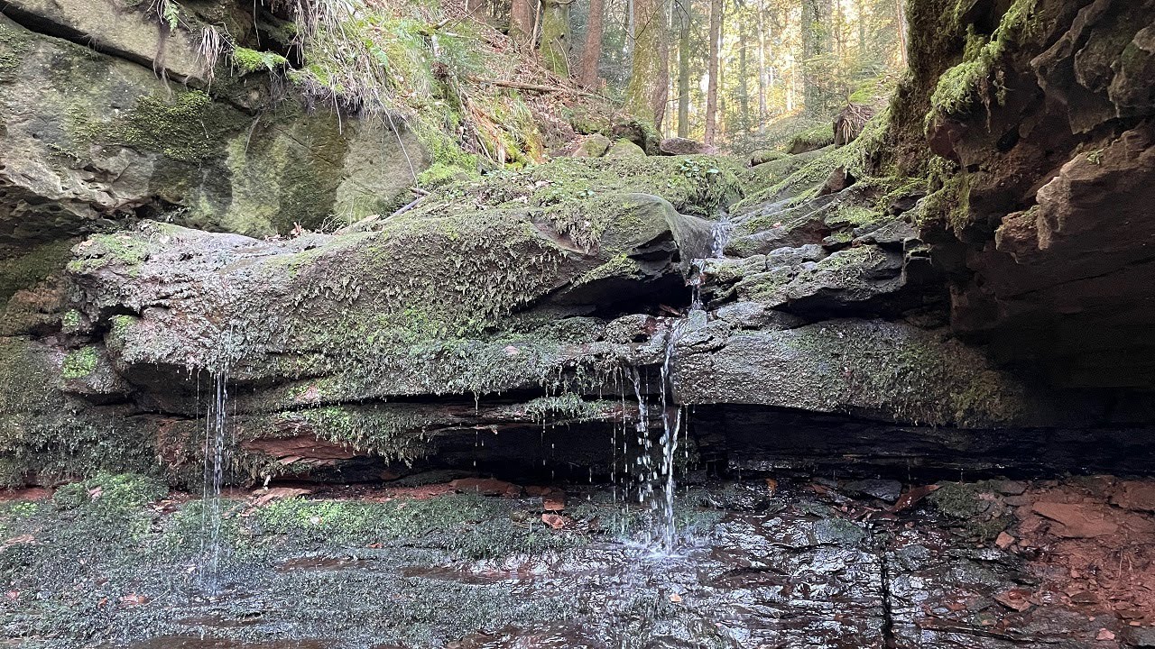 Die Wolfschlucht bei Calw | Schwarzwald