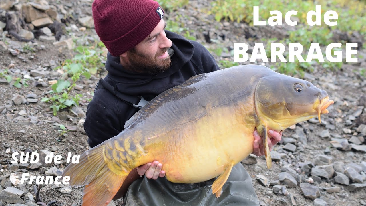 Pêche de la carpe sur un Lac de barrage du Sud