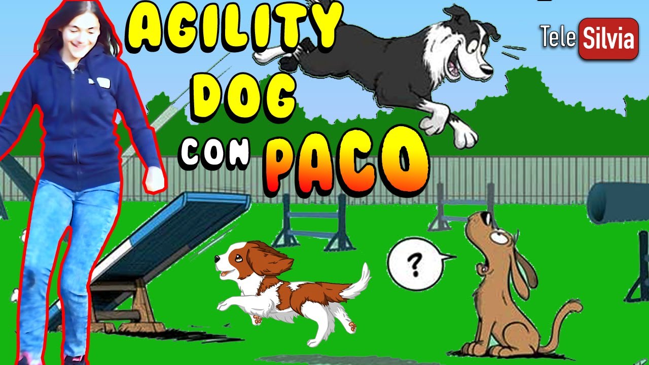 SCOPRIAMO L' AGILITY DOG CON PACO BY #TeleSilvia