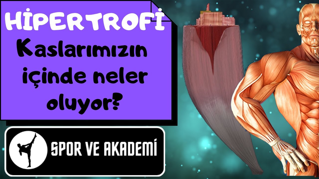 HİPERTROFİNİN BİLİMSEL (FİZYOLOJİK) AÇIKLAMASI. KASLARIMIZIN İÇİNDE NELER OLUYOR? BODYBUILDING