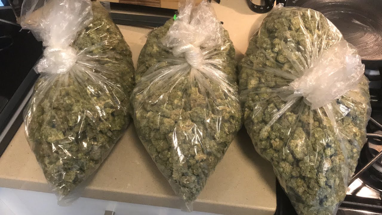 420 2022 Weed/Marijuana Vlog Tiger TV