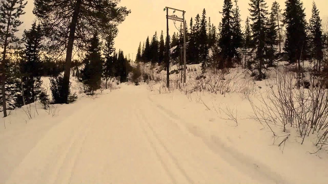 Juleskirenn 