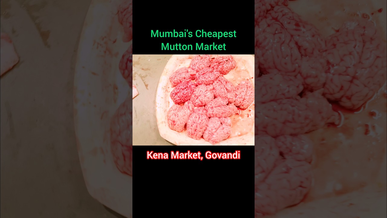 Mutton Market in Govandi, Mumbai | Kena Market Is Famous For Halal Beef Sales | halal bhai