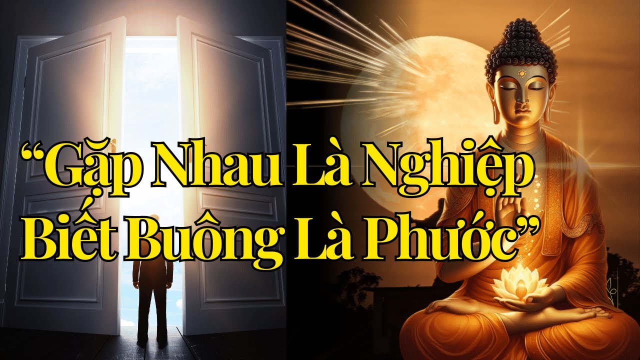 “Gặp Nhau Là Nghiệp – Biết Buông Là Phước”|NHÂN QUẢ NGHIỆP BÁO