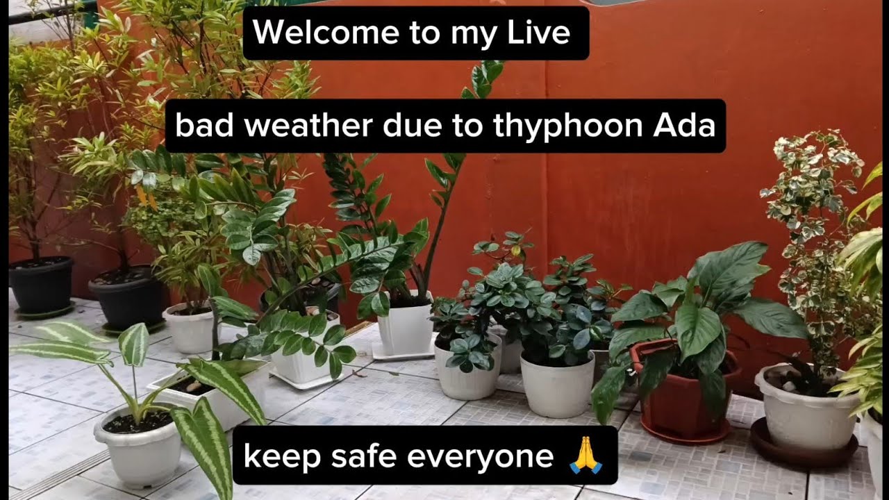 Marieta Go is live! bad weather due to typhoon Ada ,keep safe everyone 🙏