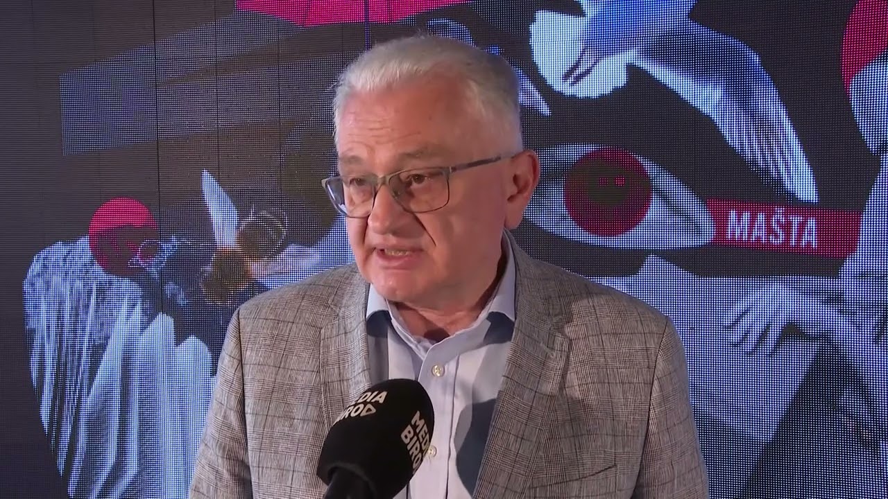 Književni kritičar, Aleksandar Jerkov o Borislavu Mihajloviću Mihizu i Goranu Petroviću