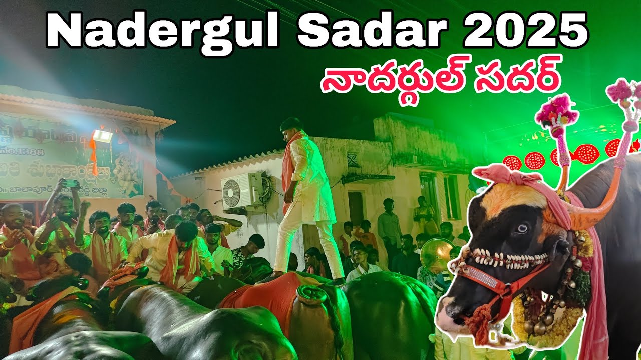 Nadergul Sadar 2025 | నాదర్‌గుల్ సదర్ 2025 | Jai Yadav Jai Madhav | 