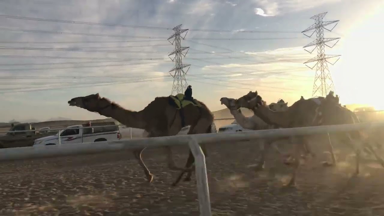 الشوط الرئيسي للثنايا والزمول - البرق للسيد ضيف الله بن محمد الحويطي