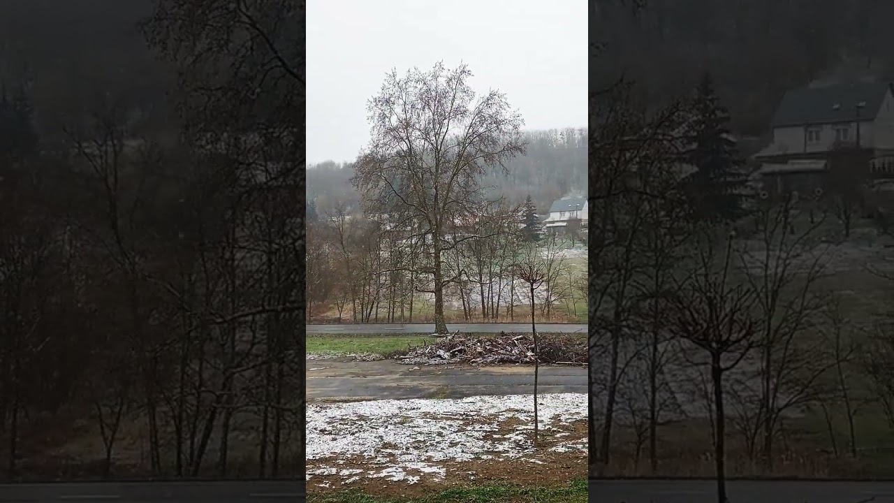 Cloudy with some light snow ❄️🌨️... /January 21, 2023 / Hungary Europe