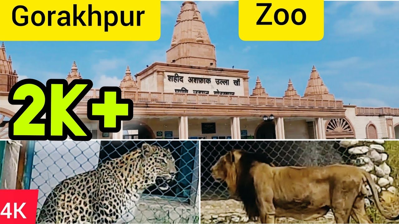 गोरखपुर चिड़ियाघर // Gorakhpur Zoo Latest Video in 4K