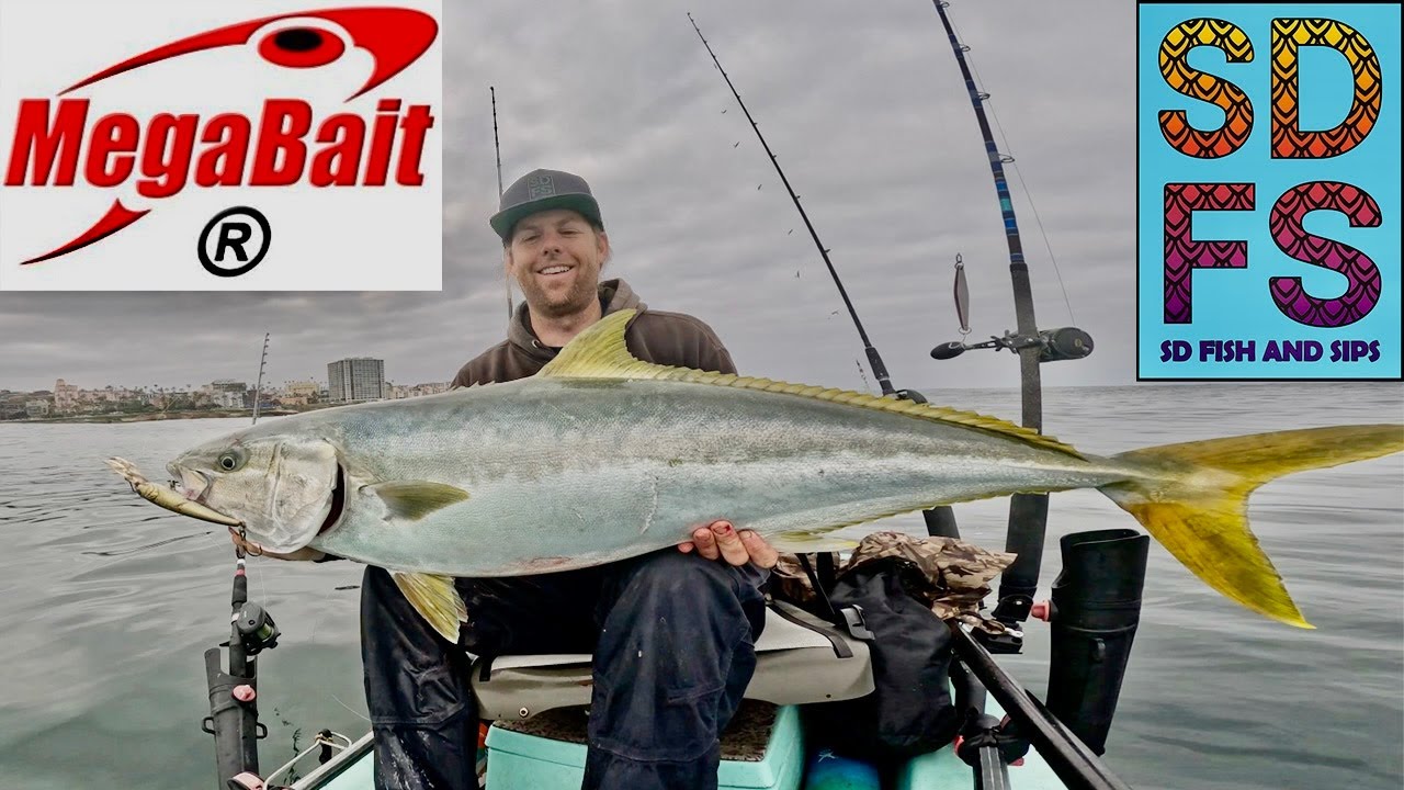 MEGABAIT Trolling Lures | Fishing La Jolla Yellowtail