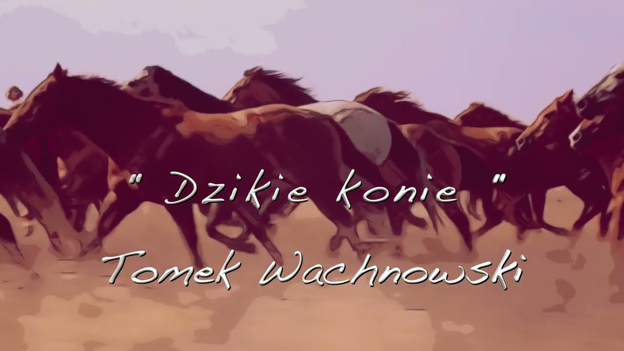 Tomek Wachnowski  