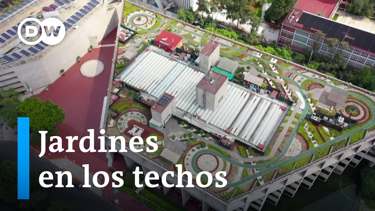Pulmones verdes oxigenan Ciudad de México