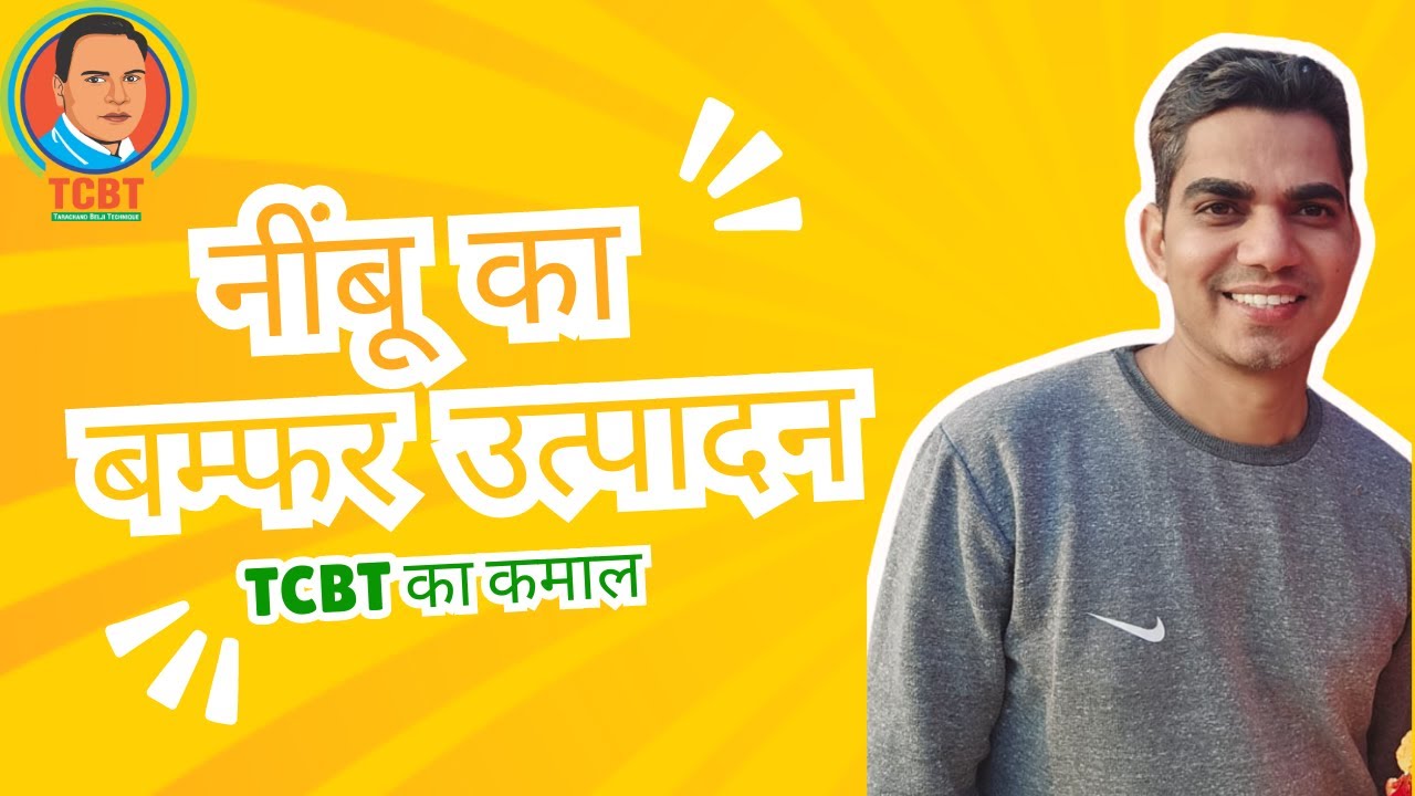 नींबू का बम्फर उत्पादन #organic #tarachand belji तकनीक से @बम्फर टमाटर,छप्पन कद्दू ,स्ट्राबेरी