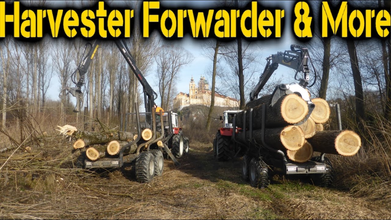Steyr 8080 & 8075 with 2 Palms H10D