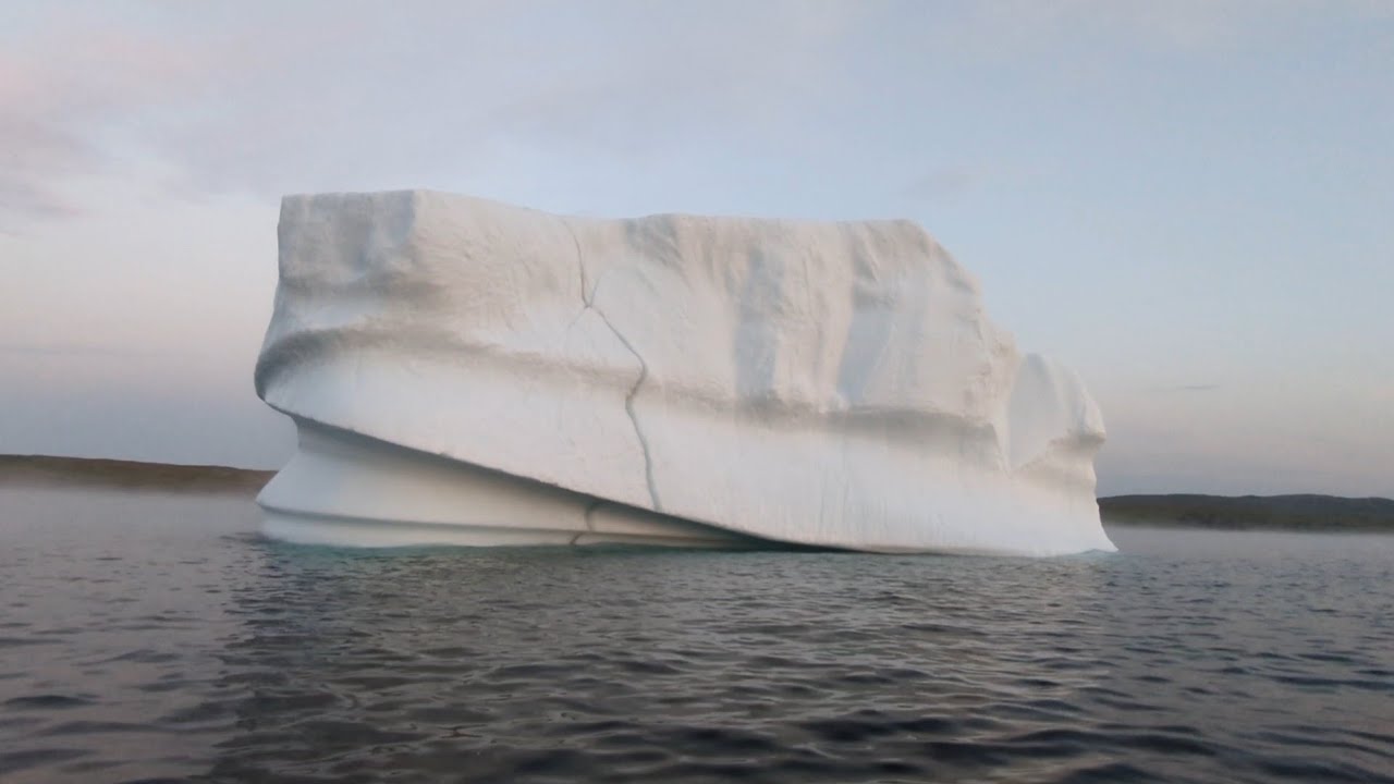 Whales and Icebergs in Quirpon, on the Northern Peninsula of Newfoundland!