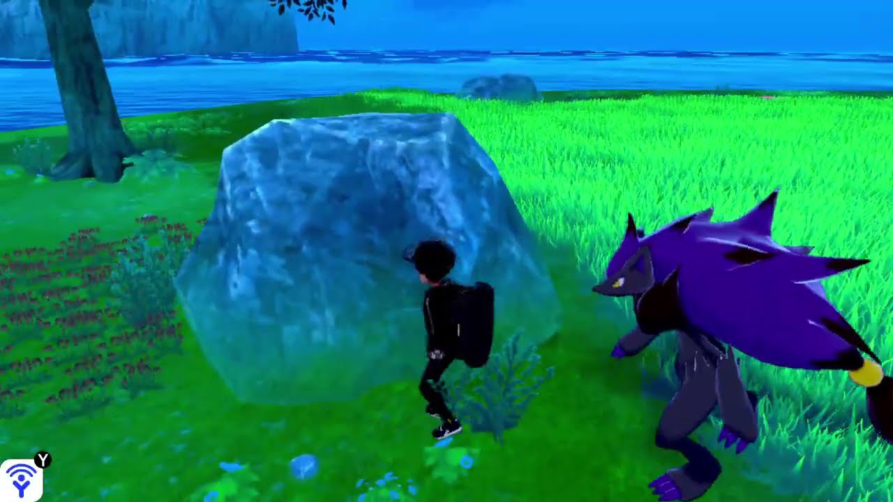 Zoroark Confuses Ditto with Ditto??