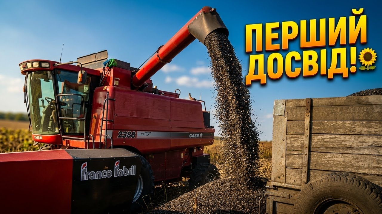 Іду в комбайнери на CASE 2388. Перший досвід комбайнування. Молотимо соняшник 🌻
