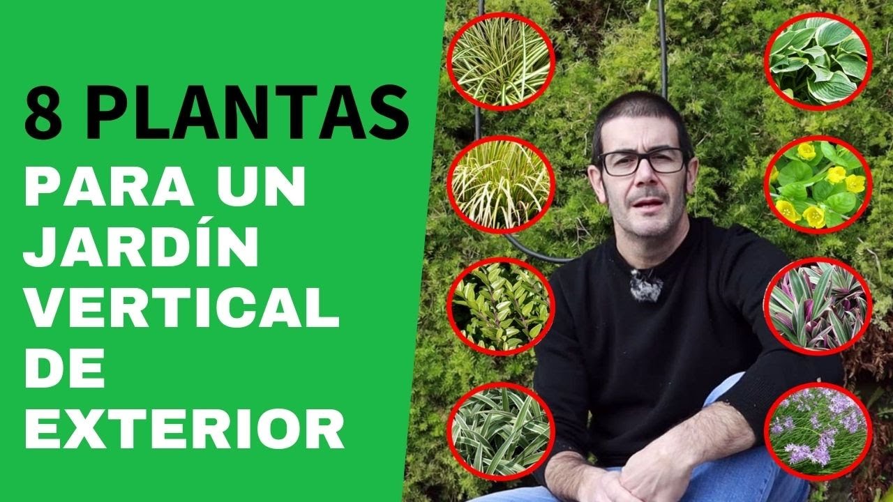 8 planta para jardines verticales de exterior