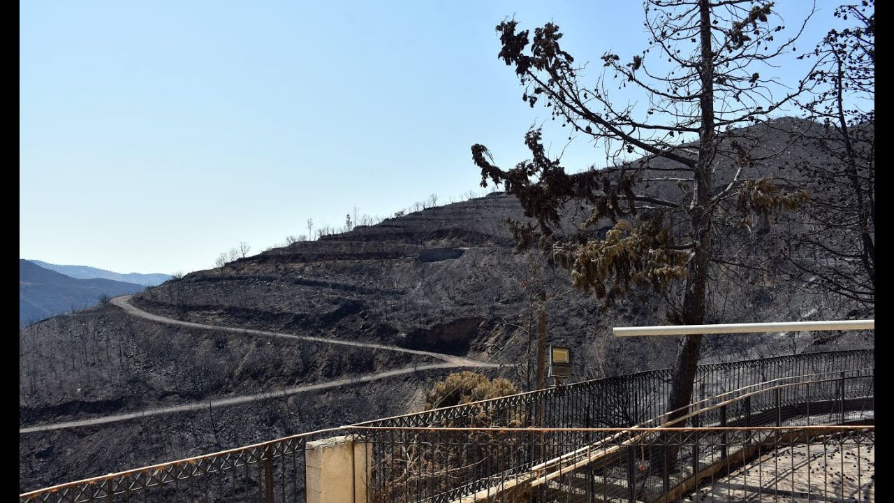 Αμανή   Μία εβδομάδα μετά την καταστροφική πυρκαγιά