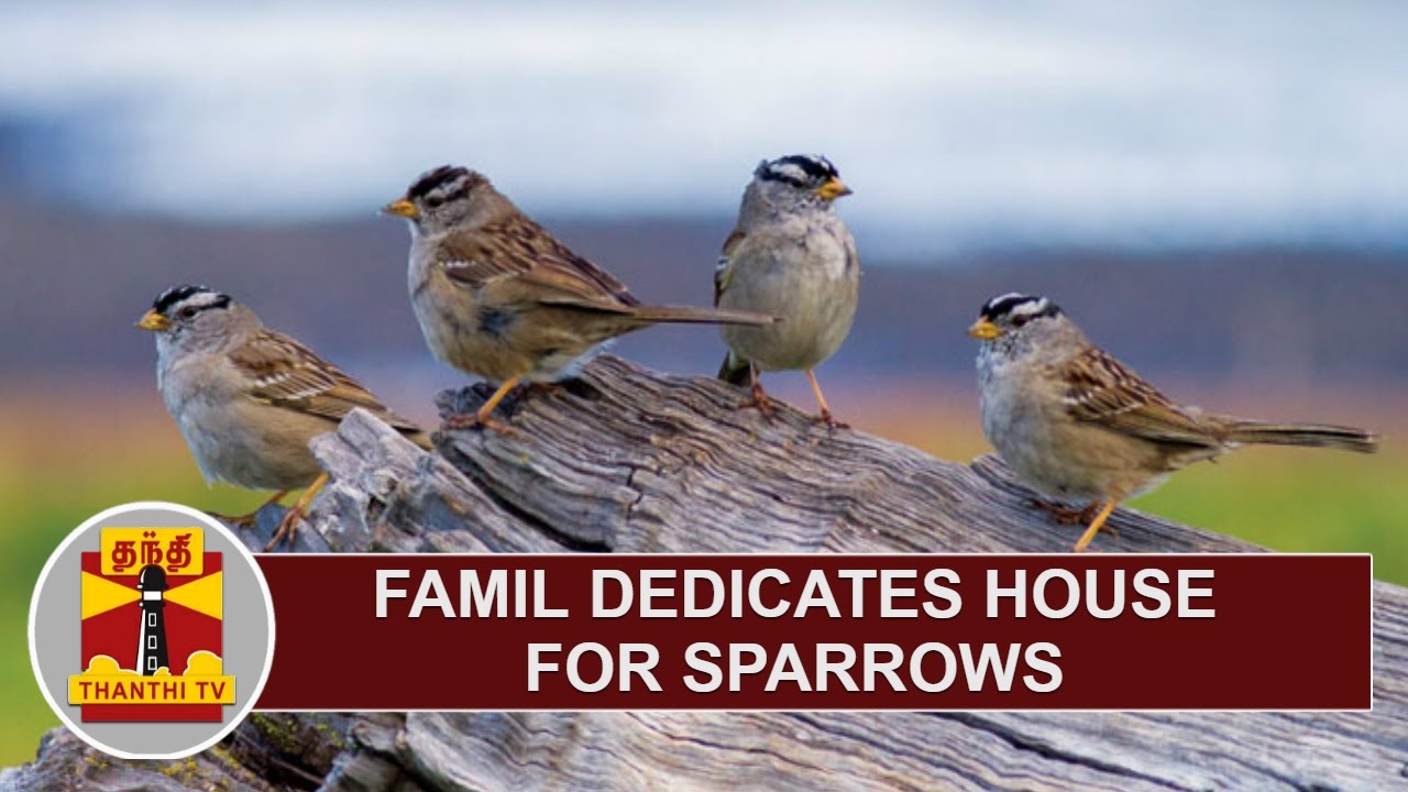 Family dedicates house for Sparrows | Thanthi TV