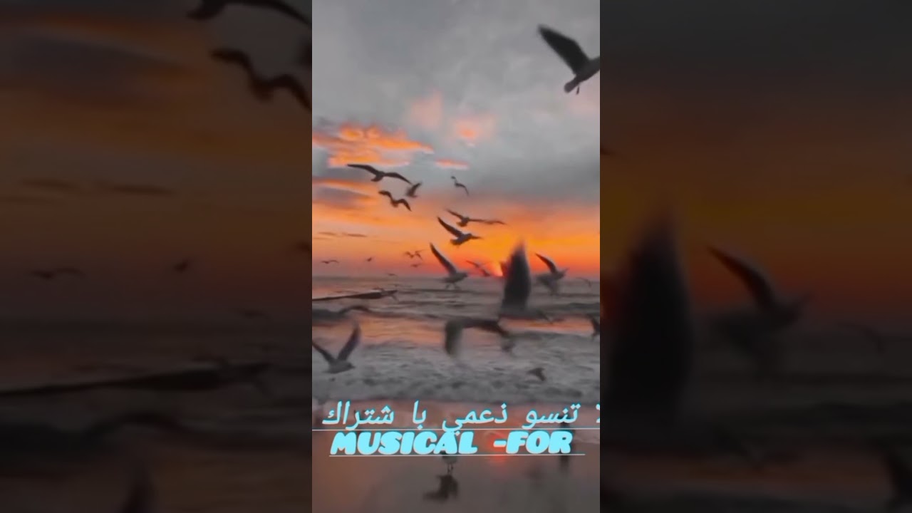 Jadid cheb #chebkhaled جذيذ-شاب خالذ Musical -for 2026