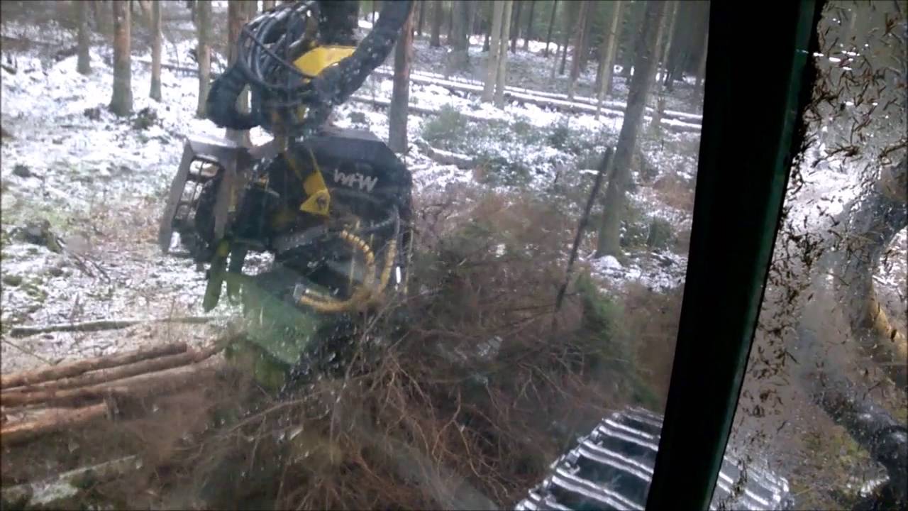 Medkirtės darbas operatoriaus akimis